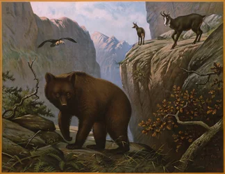 Wilde Tiere, die in den Alpen leben